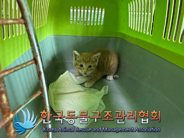 한국동물구조관리협회_411300202400454